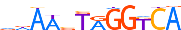 RORG.H13CORE.1.PS.A motif logo (RORC gene, RORG_HUMAN protein)