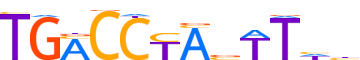 RORG.H13CORE.1.PS.A reverse-complement motif logo (RORC gene, RORG_HUMAN protein)