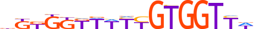 RUNX2.H13CORE.2.M.C motif logo (RUNX2 gene, RUNX2_HUMAN protein)