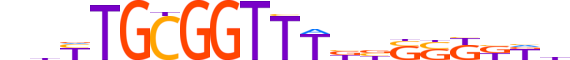 RUNX3.H13CORE.1.S.B motif logo (RUNX3 gene, RUNX3_HUMAN protein)