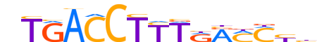 RXRA.H13CORE.2.SM.B reverse-complement motif logo (RXRA gene, RXRA_HUMAN protein)