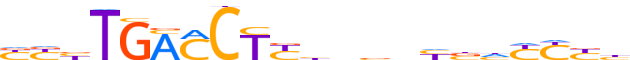 RXRA.H13CORE.3.P.B reverse-complement motif logo (RXRA gene, RXRA_HUMAN protein)