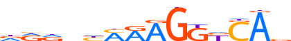 RXRB.H13CORE.0.P.C motif logo (RXRB gene, RXRB_HUMAN protein)