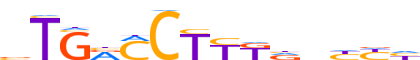 RXRB.H13CORE.0.P.C reverse-complement motif logo (RXRB gene, RXRB_HUMAN protein)