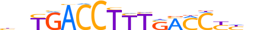 RXRB.H13CORE.1.SM.B reverse-complement motif logo (RXRB gene, RXRB_HUMAN protein)