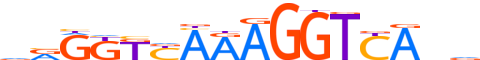 RXRG.H13CORE.1.SM.B motif logo (RXRG gene, RXRG_HUMAN protein)