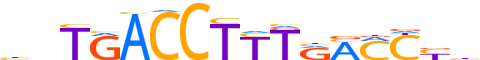 RXRG.H13CORE.1.SM.B reverse-complement motif logo (RXRG gene, RXRG_HUMAN protein)