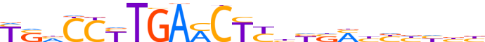 RXRG.H13CORE.2.P.B reverse-complement motif logo (RXRG gene, RXRG_HUMAN protein)