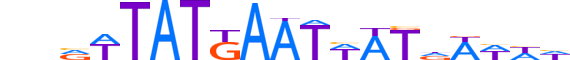 SALL3.H13CORE.0.PSG.A motif logo (SALL3 gene, SALL3_HUMAN protein)