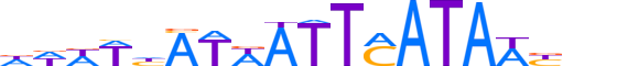 SALL3.H13CORE.0.PSG.A reverse-complement motif logo (SALL3 gene, SALL3_HUMAN protein)