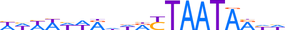 SATB1.H13CORE.0.P.B motif logo (SATB1 gene, SATB1_HUMAN protein)