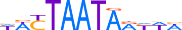 SATB1.H13CORE.1.P.B motif logo (SATB1 gene, SATB1_HUMAN protein)