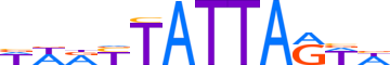 SATB1.H13CORE.1.P.B reverse-complement motif logo (SATB1 gene, SATB1_HUMAN protein)