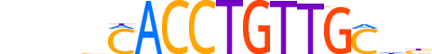 SCRT2.H13CORE.0.PSM.A reverse-complement motif logo (SCRT2 gene, SCRT2_HUMAN protein)