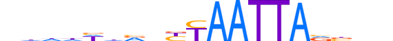 SHOX.H13CORE.0.SM.B reverse-complement motif logo (SHOX gene, SHOX_HUMAN protein)