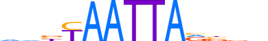 SHOX.H13CORE.1.S.B reverse-complement motif logo (SHOX gene, SHOX_HUMAN protein)