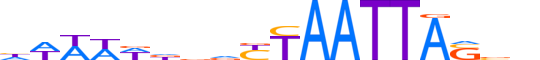 SHOX2.H13CORE.0.S.B motif logo (SHOX2 gene, SHOX2_HUMAN protein)