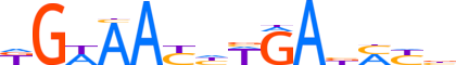 SIX1.H13CORE.0.P.B motif logo (SIX1 gene, SIX1_HUMAN protein)