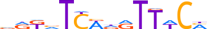 SIX1.H13CORE.0.P.B reverse-complement motif logo (SIX1 gene, SIX1_HUMAN protein)