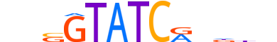 SIX1.H13CORE.1.SM.B reverse-complement motif logo (SIX1 gene, SIX1_HUMAN protein)