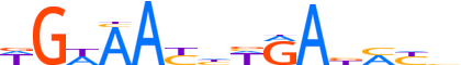 SIX2.H13CORE.0.P.B motif logo (SIX2 gene, SIX2_HUMAN protein)