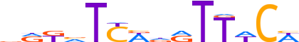 SIX2.H13CORE.0.P.B reverse-complement motif logo (SIX2 gene, SIX2_HUMAN protein)