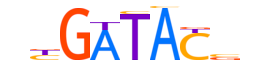 SIX2.H13CORE.2.SM.B motif logo (SIX2 gene, SIX2_HUMAN protein)