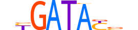 SIX3.H13CORE.0.SM.B motif logo (SIX3 gene, SIX3_HUMAN protein)