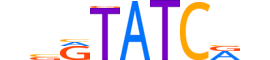 SIX3.H13CORE.0.SM.B reverse-complement motif logo (SIX3 gene, SIX3_HUMAN protein)