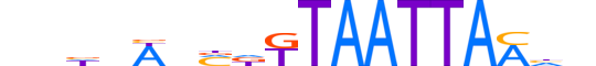 SKOR1.H13CORE.0.M.C motif logo (SKOR1 gene, SKOR1_HUMAN protein)