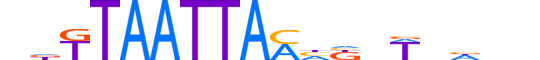 SKOR1.H13CORE.0.M.C reverse-complement motif logo (SKOR1 gene, SKOR1_HUMAN protein)