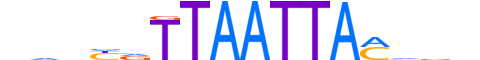 SKOR1.H13CORE.1.S.C motif logo (SKOR1 gene, SKOR1_HUMAN protein)