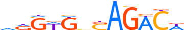 SMAD2.H13CORE.0.P.B reverse-complement motif logo (SMAD2 gene, SMAD2_HUMAN protein)