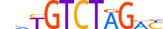 SMAD3.H13CORE.0.S.B reverse-complement motif logo (SMAD3 gene, SMAD3_HUMAN protein)