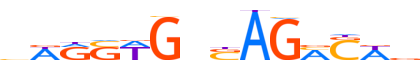 SMAD3.H13CORE.2.P.C motif logo (SMAD3 gene, SMAD3_HUMAN protein)