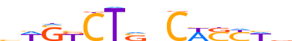 SMAD3.H13CORE.2.P.C reverse-complement motif logo (SMAD3 gene, SMAD3_HUMAN protein)