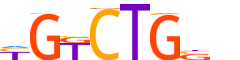 SMAD4.H13CORE.0.P.B motif logo (SMAD4 gene, SMAD4_HUMAN protein)