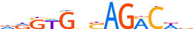 SMAD4.H13CORE.1.P.B reverse-complement motif logo (SMAD4 gene, SMAD4_HUMAN protein)