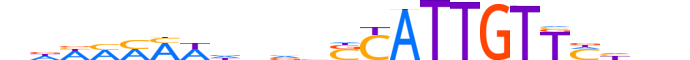 SOX10.H13CORE.0.PSM.A motif logo (SOX10 gene, SOX10_HUMAN protein)