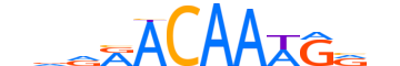 SOX13.H13CORE.0.P.B reverse-complement motif logo (SOX13 gene, SOX13_HUMAN protein)