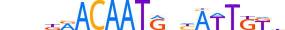 SOX14.H13CORE.0.SM.B reverse-complement motif logo (SOX14 gene, SOX14_HUMAN protein)