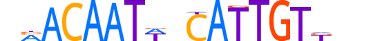 SOX17.H13CORE.2.S.C motif logo (SOX17 gene, SOX17_HUMAN protein)