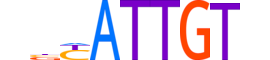 SOX18.H13CORE.0.SM.B motif logo (SOX18 gene, SOX18_HUMAN protein)