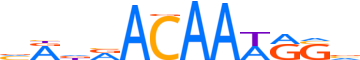 SOX2.H13CORE.0.P.B reverse-complement motif logo (SOX2 gene, SOX2_HUMAN protein)