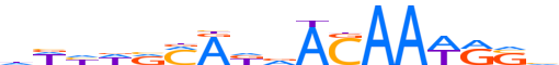 SOX2.H13CORE.1.P.B reverse-complement motif logo (SOX2 gene, SOX2_HUMAN protein)