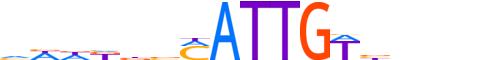 SOX3.H13CORE.1.S.C motif logo (SOX3 gene, SOX3_HUMAN protein)