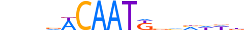 SOX3.H13CORE.1.S.C reverse-complement motif logo (SOX3 gene, SOX3_HUMAN protein)