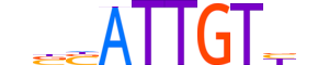 SOX30.H13CORE.1.SM.B motif logo (SOX30 gene, SOX30_HUMAN protein)