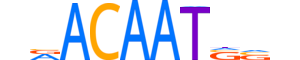 SOX30.H13CORE.1.SM.B reverse-complement motif logo (SOX30 gene, SOX30_HUMAN protein)