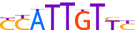 SOX7.H13CORE.0.PS.A motif logo (SOX7 gene, SOX7_HUMAN protein)